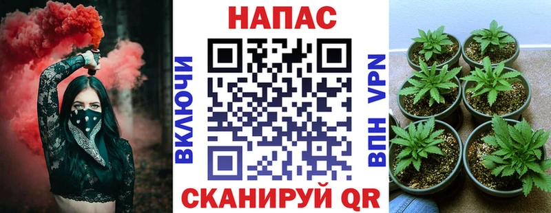 Конопля Amnesia  МЕГА tor  Сим 
